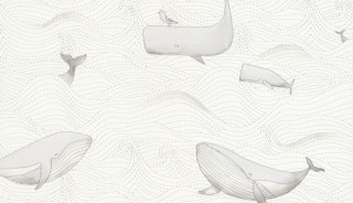 Doodleedo BN 220730
