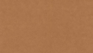 Grand Safari BN 220505