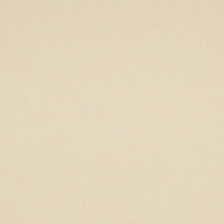 Van Gogh BN 17123