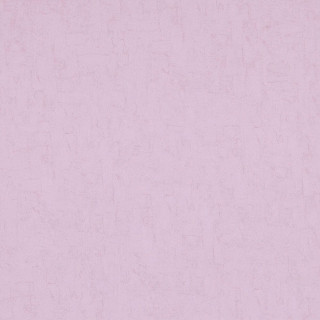 Van Gogh BN 17125