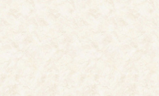 Antoinette 60339-07