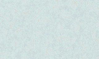 Tiara 60241-07