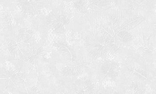 Valse 60406-01