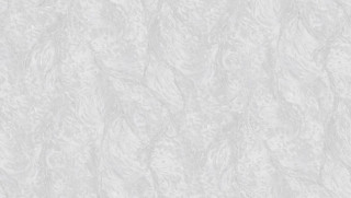 Brilla R 23505