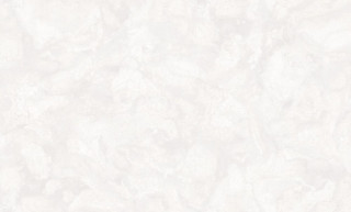 Brilla R 23516