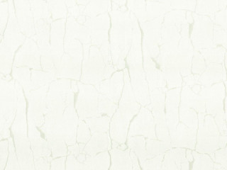 Felicita R 23306