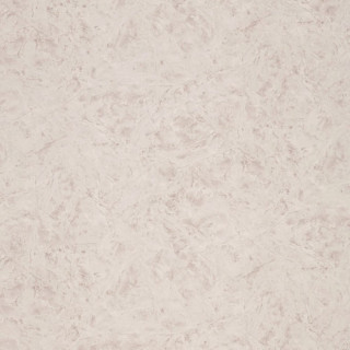 Modelli Magici R 11582