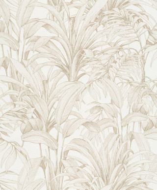 Asperia A 51402