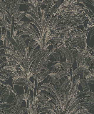 Asperia A 51403