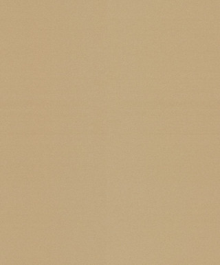 Ciara A 13319