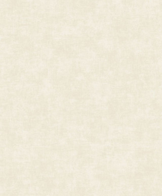 Ciara A 53701