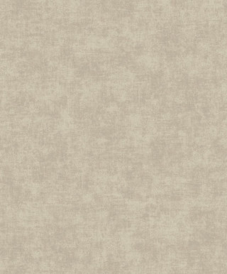 Ciara A 53704