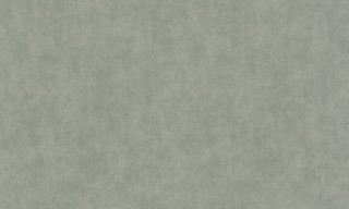Time 2025 TI 1008