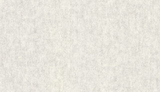 Universe 2023 US 1008