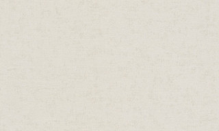 ILLUSION A36101