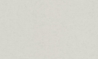 ILLUSION A36102