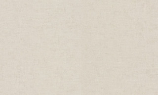 ILLUSION A36106