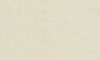 ILLUSION A36108