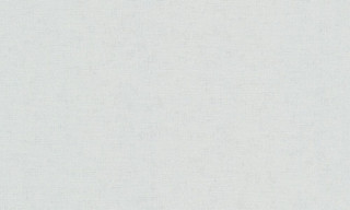 ILLUSION A36111