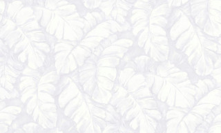 JUNGLE R128125