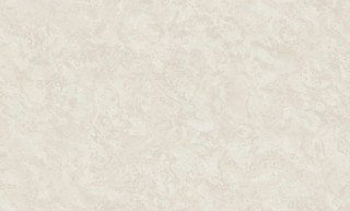 OASIS R135102