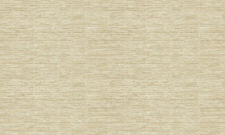 OASIS R136102