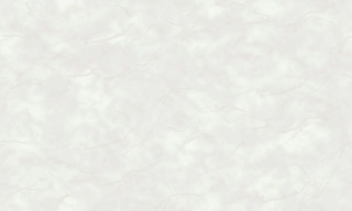 SPRING R148002