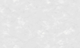 SPRING R148003