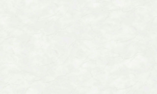 SPRING R148012
