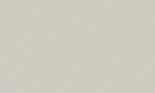 SPRING R149012