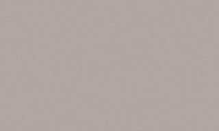SPRING R149022