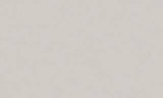 SPRING R149026