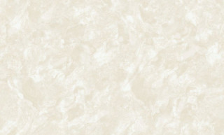 VOYAGE R137112