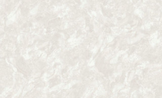 VOYAGE R137127
