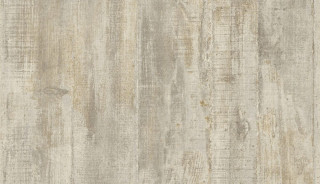 Reflets L68308