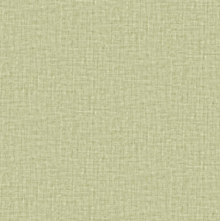 Savana 77501
