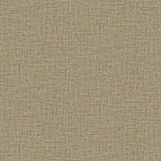 Savana 77507